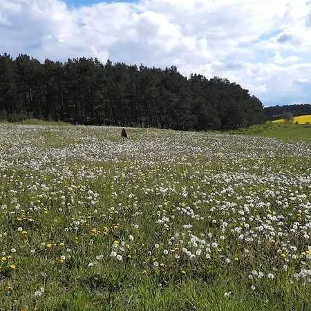 Christianshof Insel Usedom